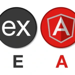 MEAN Stack web development