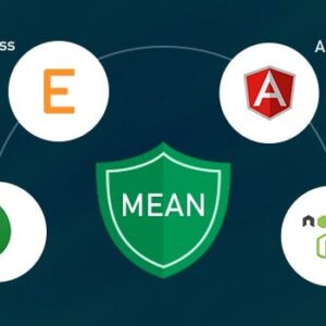 MEAN Stack web development